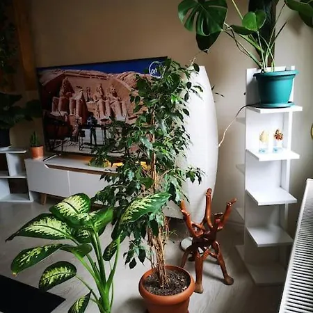 Apartment Jakuzili, Klimali,terasli, Manzarali, Iskeleye 2dk